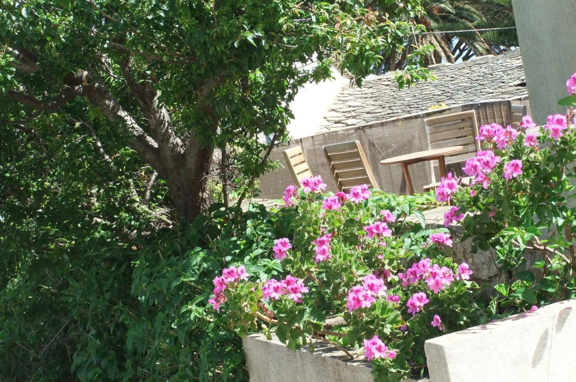 Hotel U Pozzu Sisco Экстерьер фото